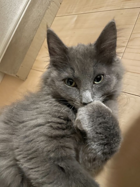 3FC8B010-4791-4FF2-AFE6-DBB84D1B15F7