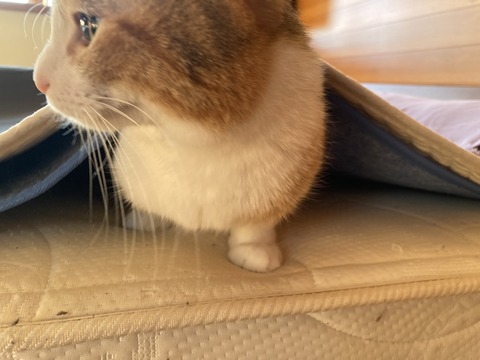 390792E9-A2DE-477F-94B7-635374EE680B