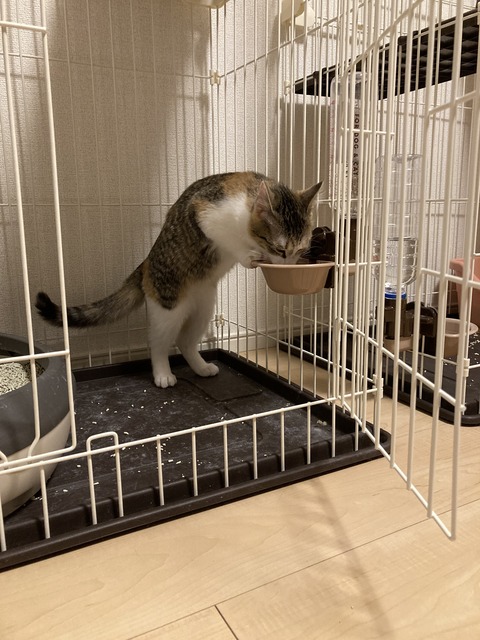 FE5A6BBB-218F-4547-9FFB-C993D1120555