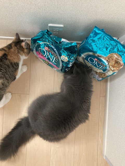 E2001EAE-ADB3-4264-96FA-52456A8C7192