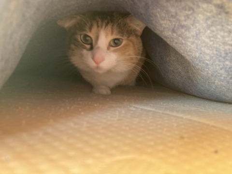 13976BDB-4F14-4E4D-8F67-C946DBC22F95