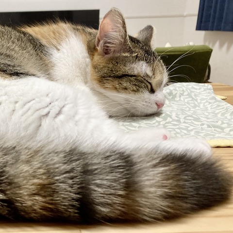 33833DCB-D315-4D3B-A790-10CA26F1BFAF