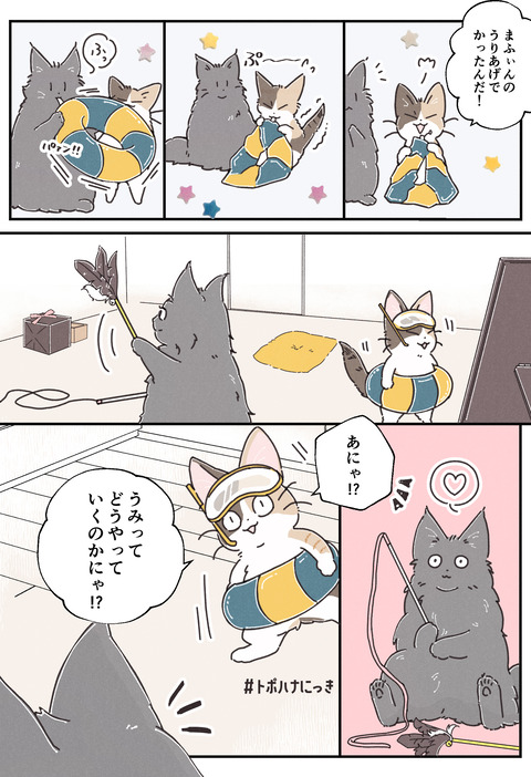 6海