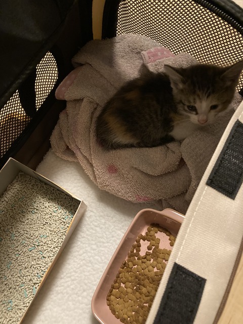 8B593909-768A-48D9-A997-5848D387497E