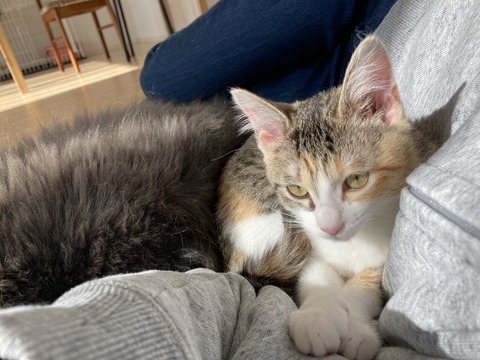 55EF5E42-1AFB-4775-B483-D32F4316EC5B