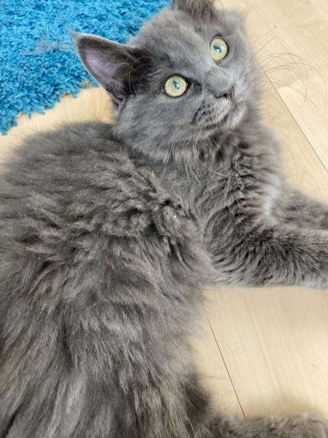 4334F4BF-9136-4363-BAF0-9AF94E01E323