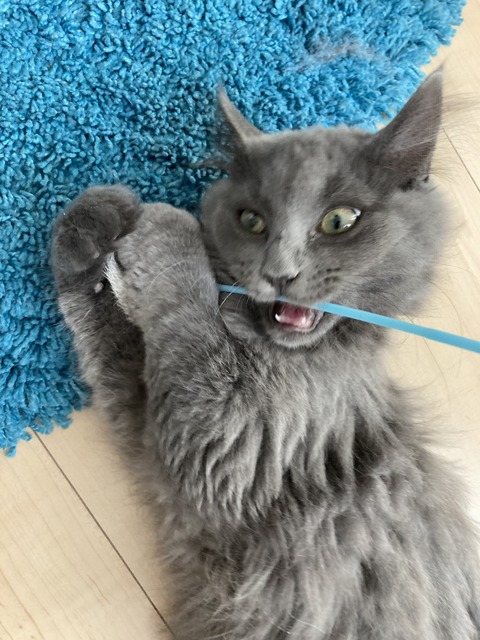 2F16A5C1-AF45-43A3-B2D8-B298AA115982