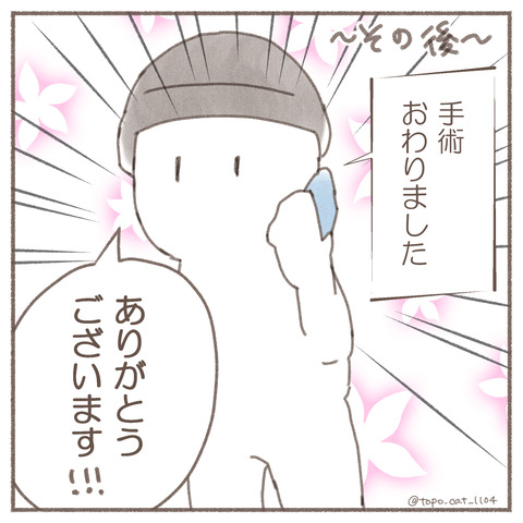 トポ手術10