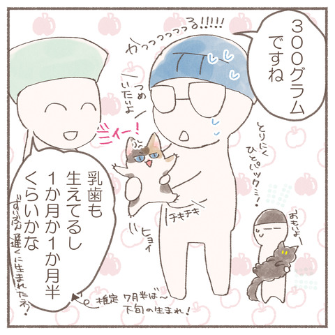 続々ハナちゃん15