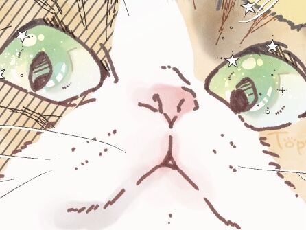 84D648F2-D5B4-44B7-A745-E9D06F786B65