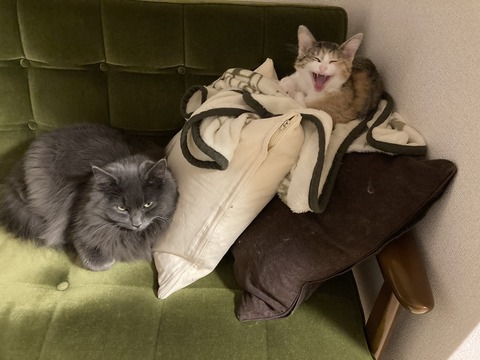 D7B4EEA3-06CA-4746-A358-DF47E0F01B91