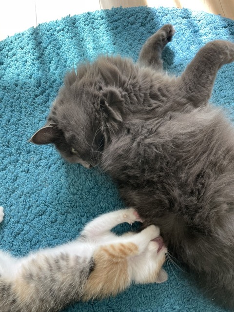 55A6ED3E-1C70-4030-A851-90F93882E76A