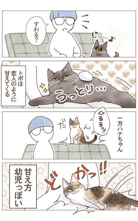 どかっリサイズ