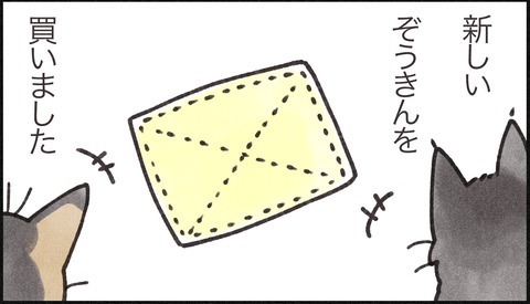 ぞうきんサムネ