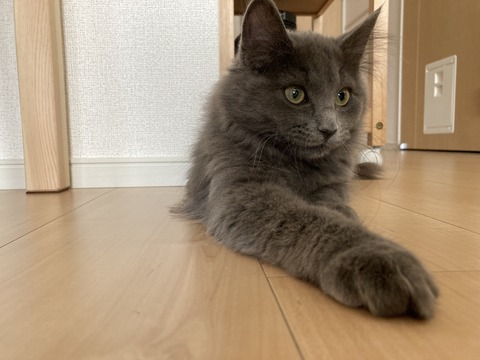 563D29D2-DF61-47A3-BF6F-F41461A4C44D