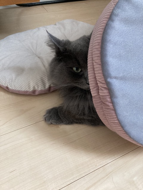 C06201AB-83A7-49DE-A462-B971F6184CF1