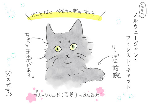 とぽさん2