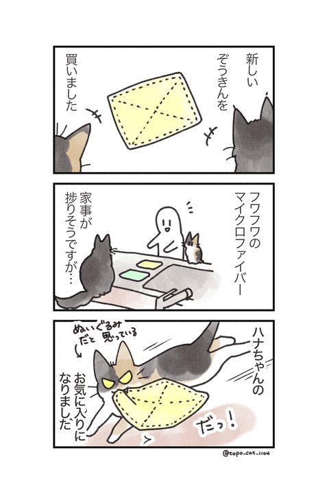 ぞうきん