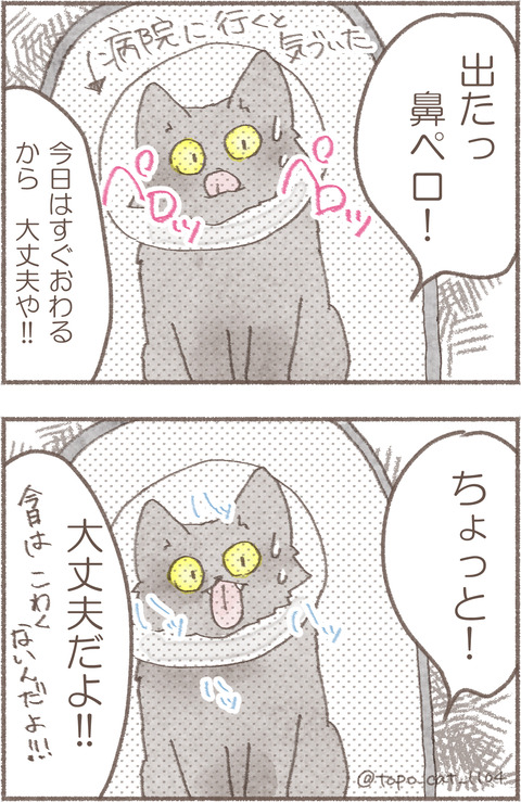 3.トポえりまき1.2