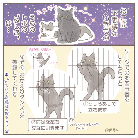 トポダンス