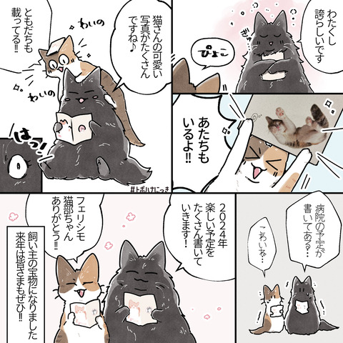 トポフェリシモ2