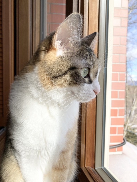 9244F4E0-E410-4C9F-927F-D54E4156ED67