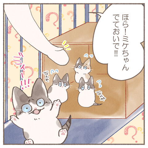 続々トポハナちゃん7