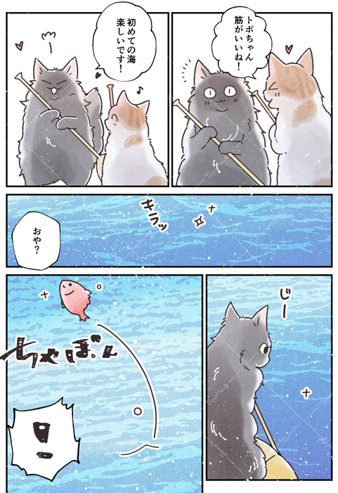 29海