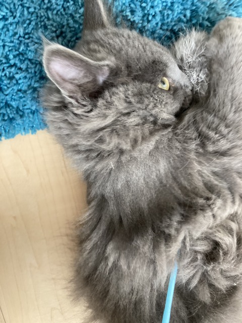 C3FD4485-F50B-47F2-B315-B6D840E23566