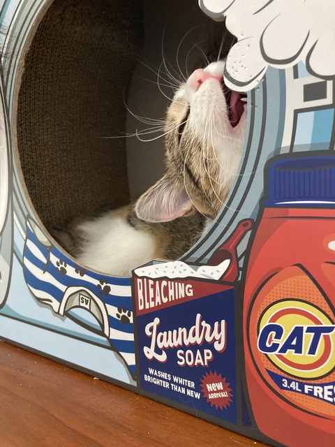 4358C158-68C3-47AE-ACB3-520F0DBC9566