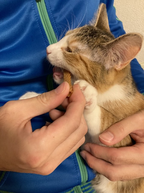 1024E274-8746-4AB5-A4FA-0EB0B0327010