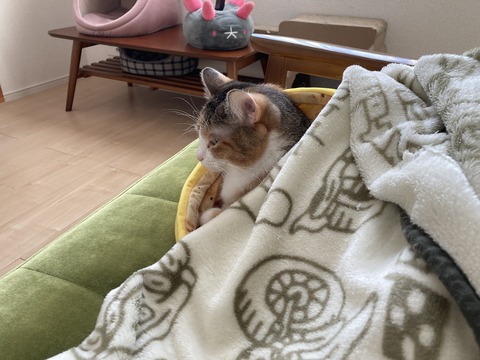 02FCBA8A-9826-4DFA-B902-7C167BBFC9DC