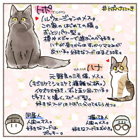 自己紹介