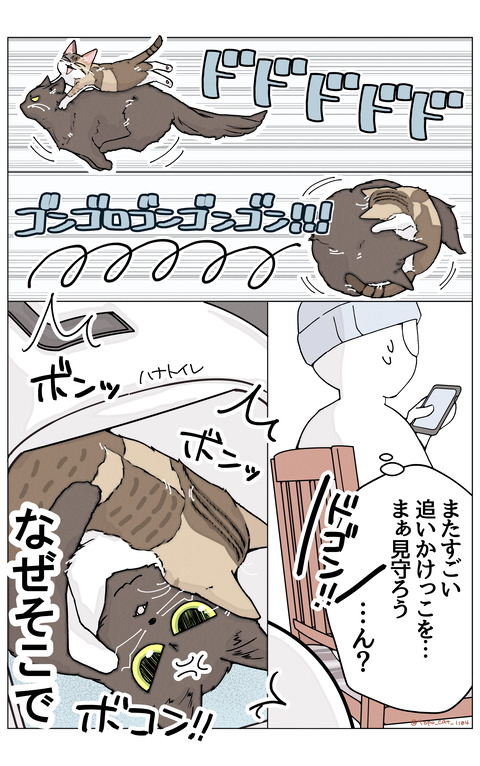 ニュートイレ②リサイズ