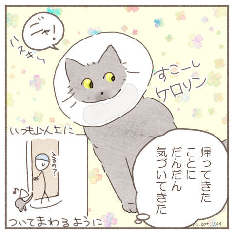 DD04980B-0F3F-4D7B-872C-F7BAB0D91E64