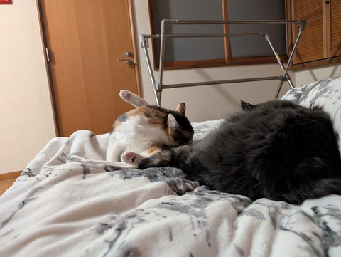 C6EC60C2-240F-44FE-80DA-D6A9FCD8FC2A