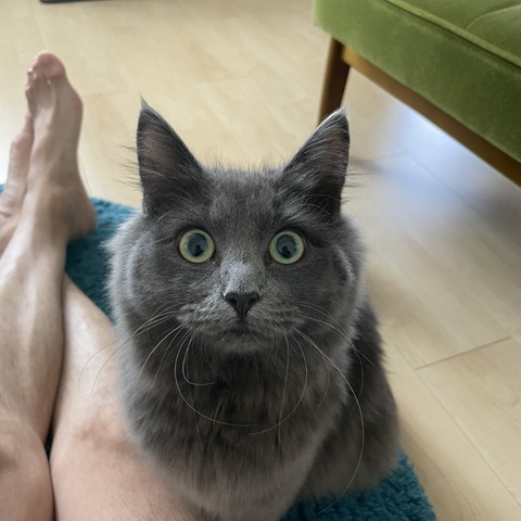 055AD387-92B5-4F59-A96F-30D060DFDD57