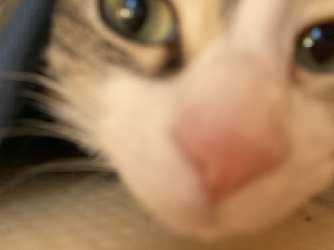 51388139-B798-4912-BFF4-12822E75B201