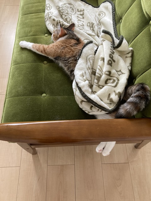 2DEF2478-2004-4B6C-B674-F6579A6CECE4