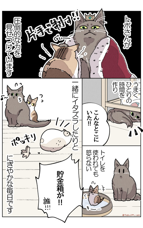 トポハナ同居⑥リサイズ