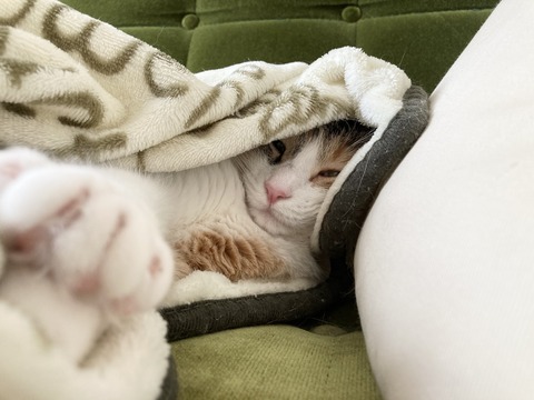 ACB7337B-960B-4ED3-9664-558343A36A3B