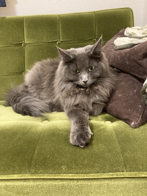 080EDEFE-0CC1-48EC-A0B5-1260E494A738