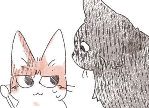 トポめしサムネ