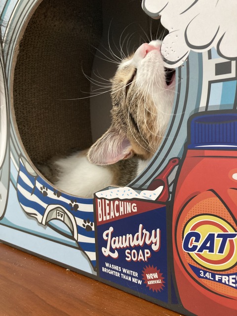 4E2E6891-0698-4CF6-99CF-3C7428741714