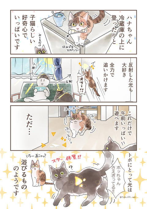 ハナと光A4