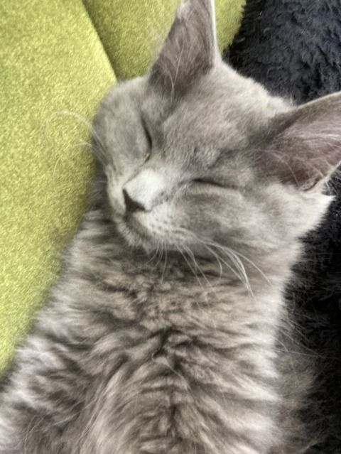 40FFA651-AE9B-41F8-8FF8-C33C1C969966