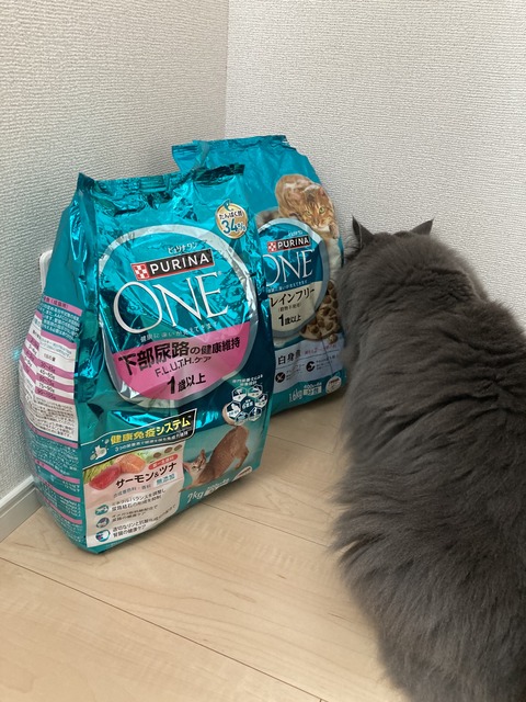 6CD1ED06-9DFB-4F81-8578-21B173D88C2F