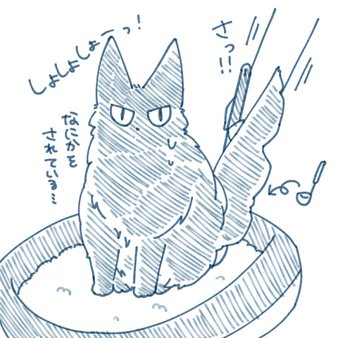トポの採尿1