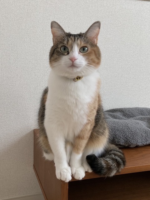 E2357BFD-3472-480F-8043-6FAB0599A8B6