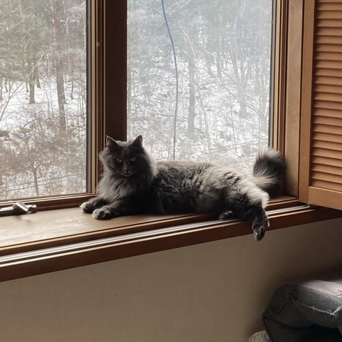 AB25A1EA-14E4-4A42-AC8E-D0D213BA51F4